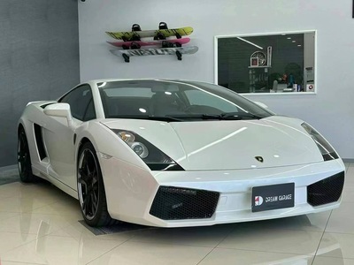 2007年小牛 盖拉多